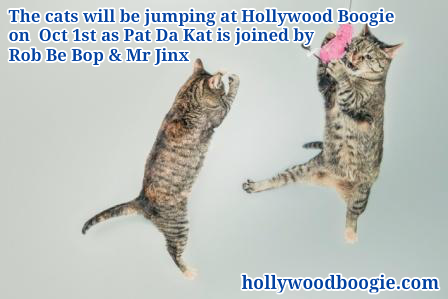 cats jumping oct dance